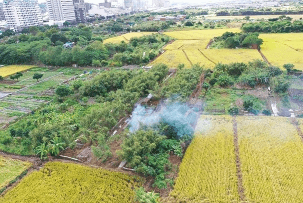 臺北市露天燃燒空污稽查
